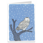 Artists To Watch Boxed Holiday Cards Wisdom Owl