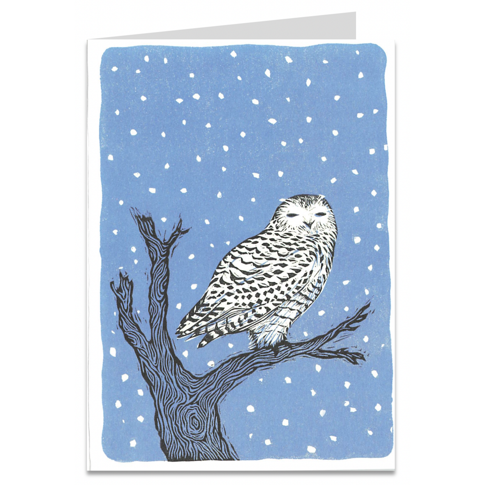 Artists To Watch Boxed Holiday Cards Wisdom Owl