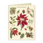 Cavallini Papers & Co. Inc Boxed Notes Botanica