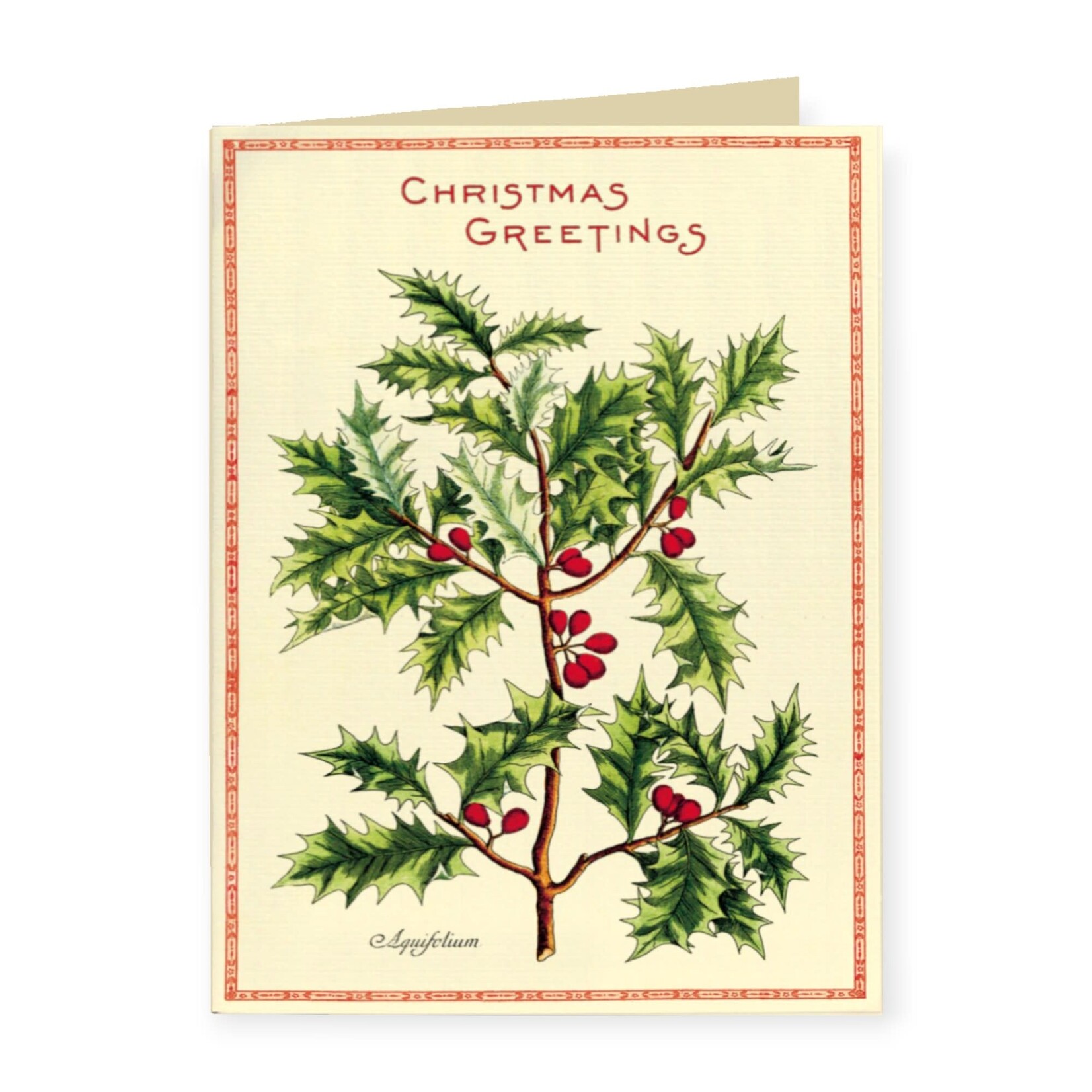 Cavallini Papers & Co. Inc Boxed Notes Holly