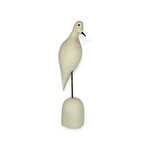 White Dove