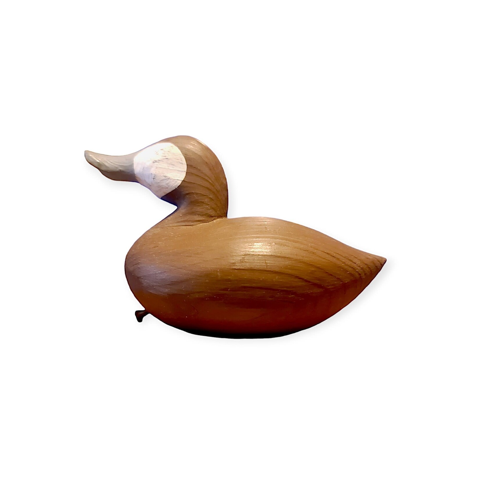 Pocket Ruddy Duck Decoy