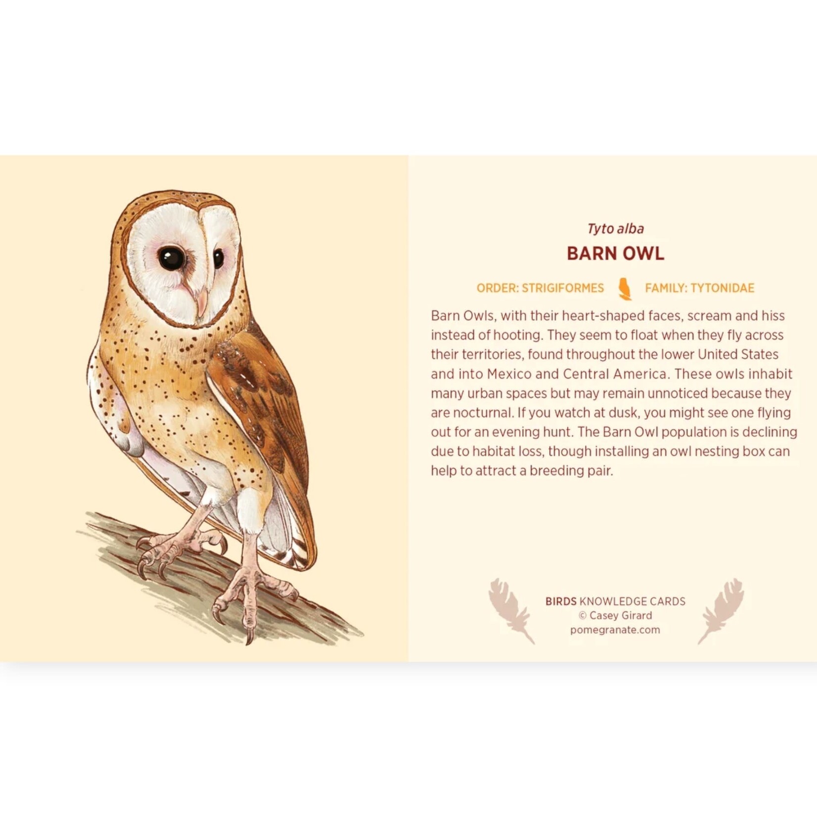 Pomegranate Communications Birds Knowledge Cards