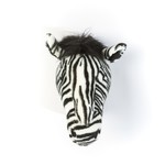 wild & soft zebra head