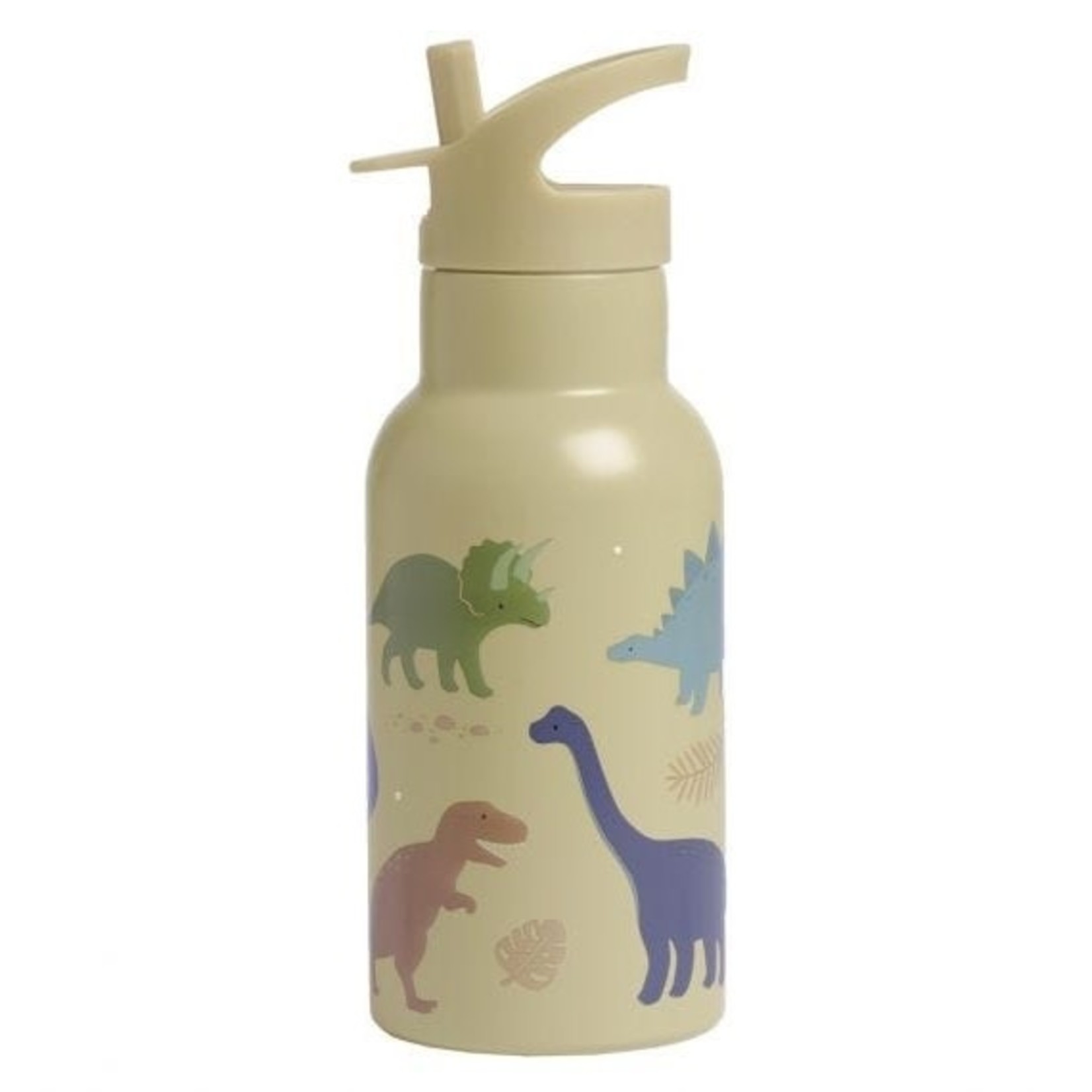 a lovely little company dinosaur water bottle