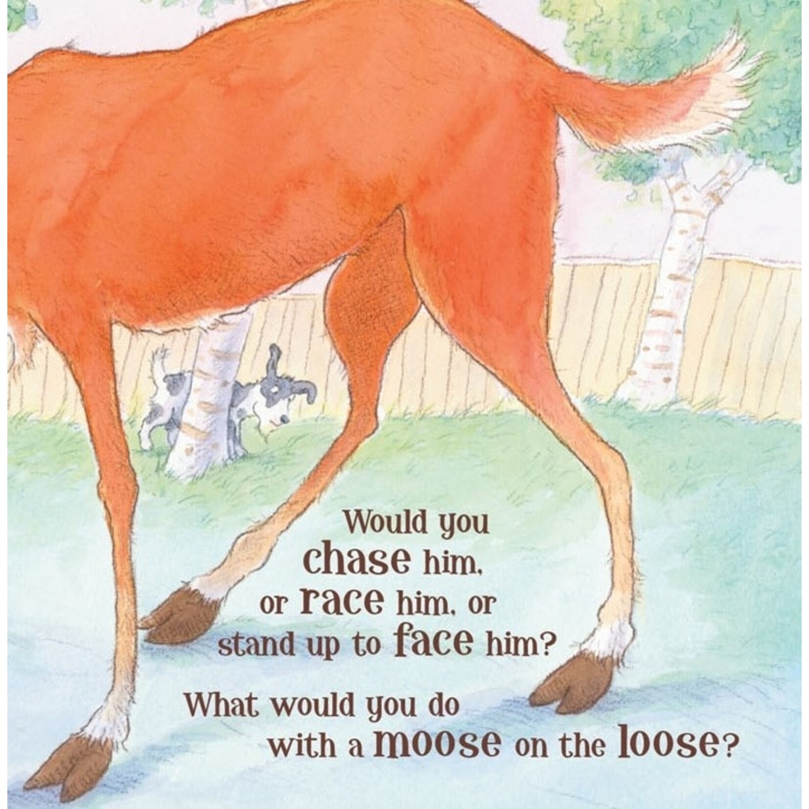 moose on the loose