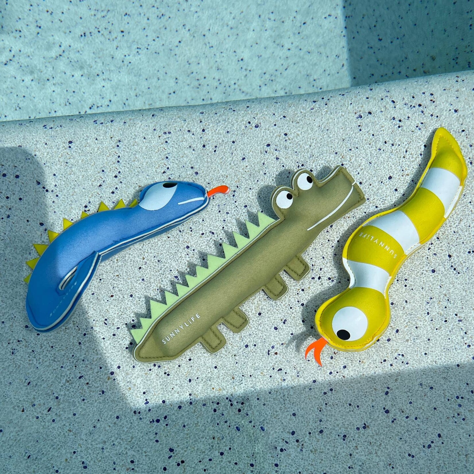 sunny life into the wild dive buddies