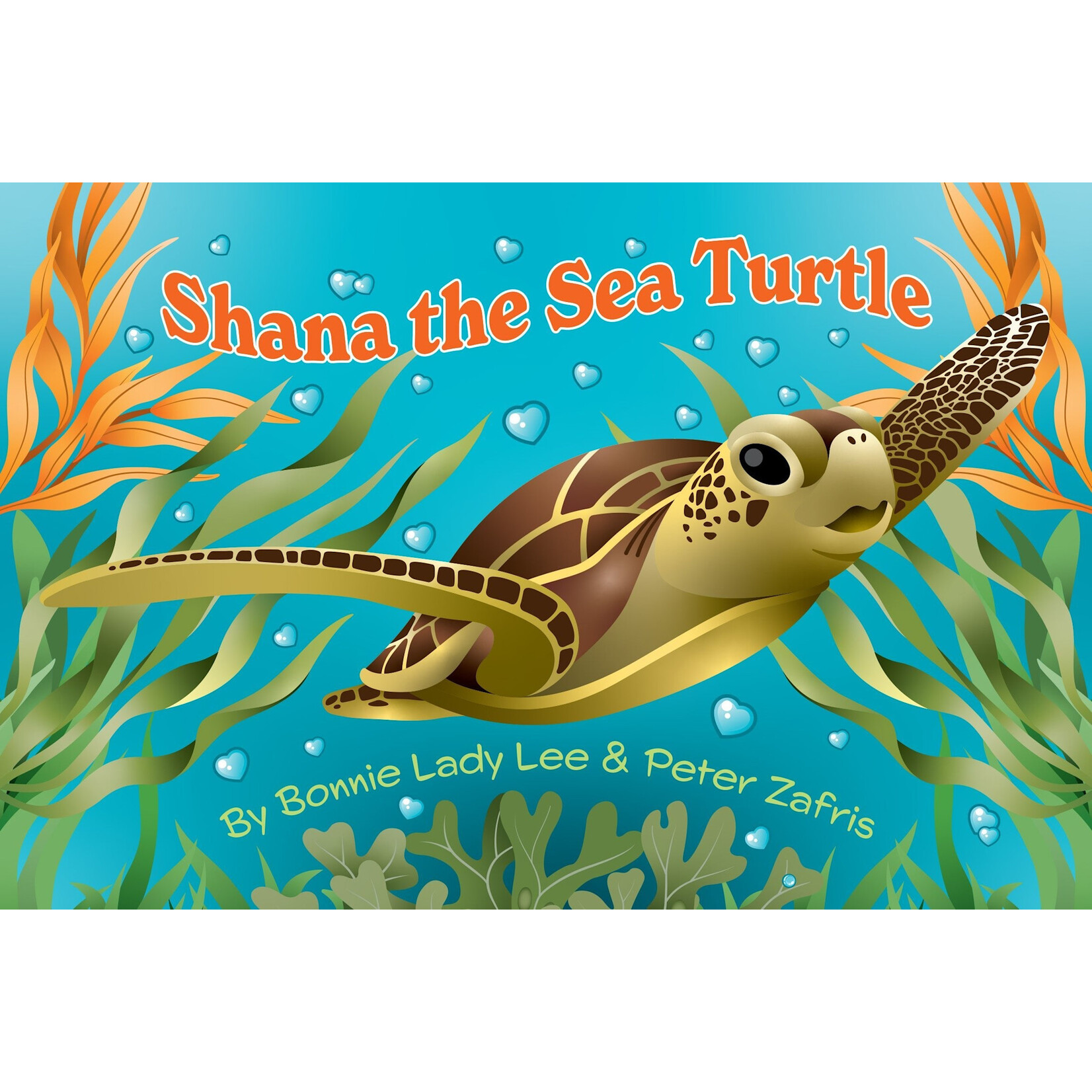 shana the sea turtle