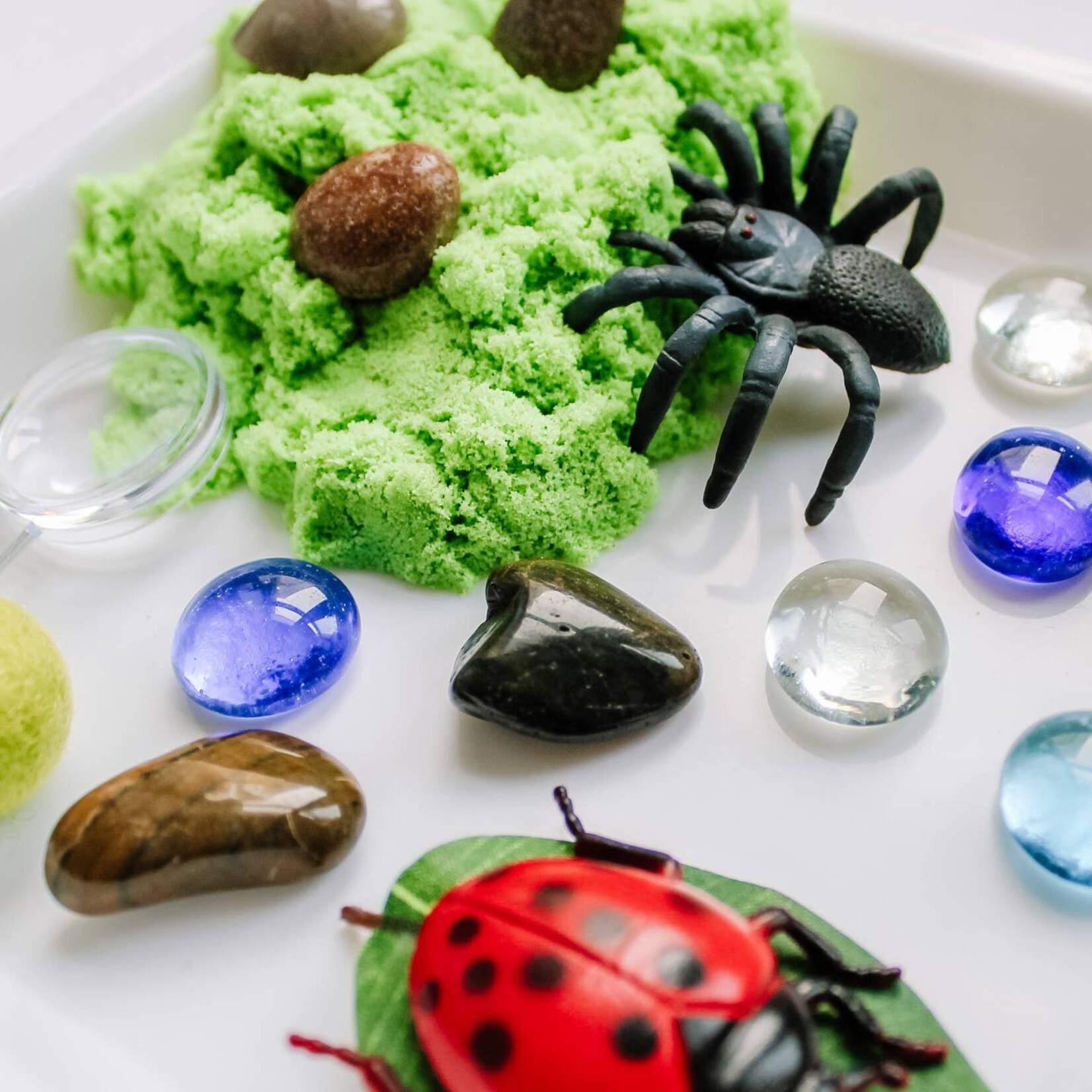 present not perfect bugs sensory kit