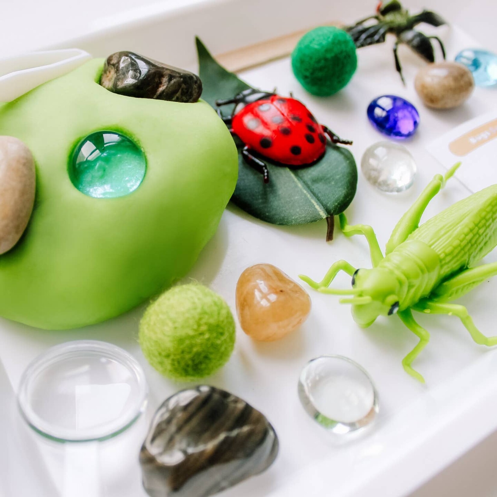 present not perfect bugs sensory kit