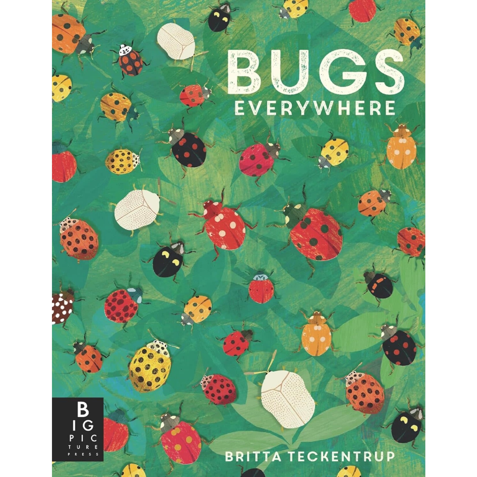 bugs everywhere