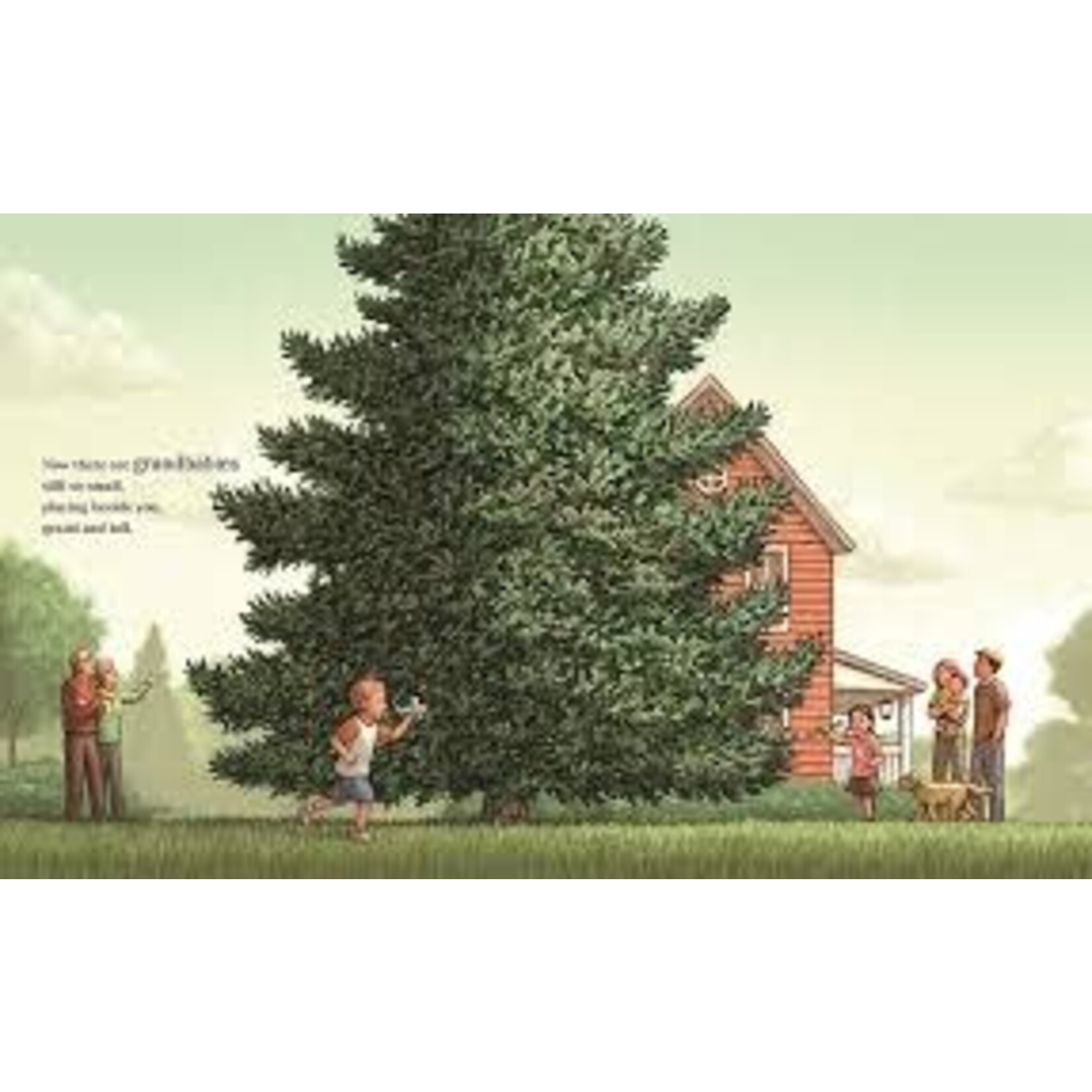 everybody's tree