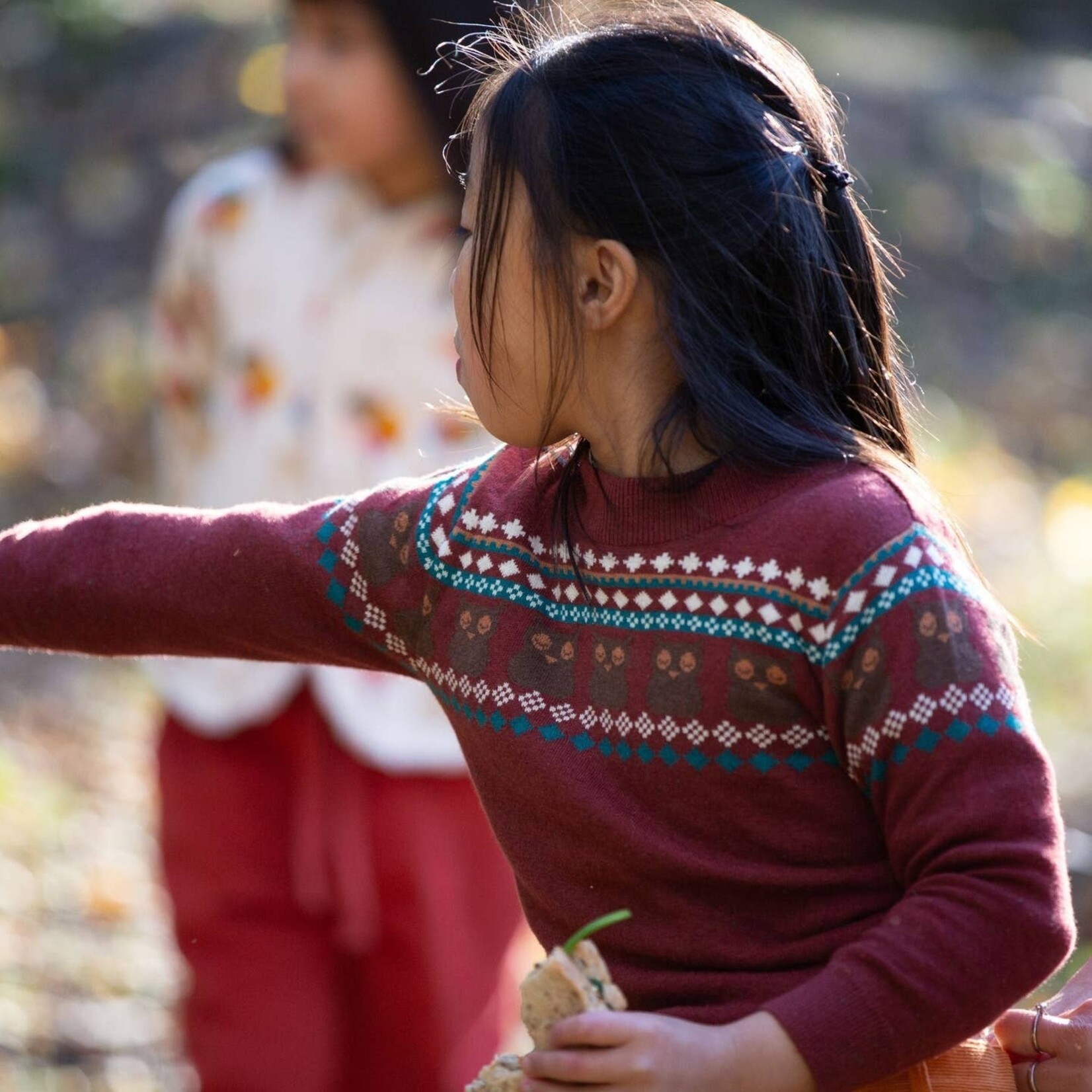 little green radicals fair isle knit sweater