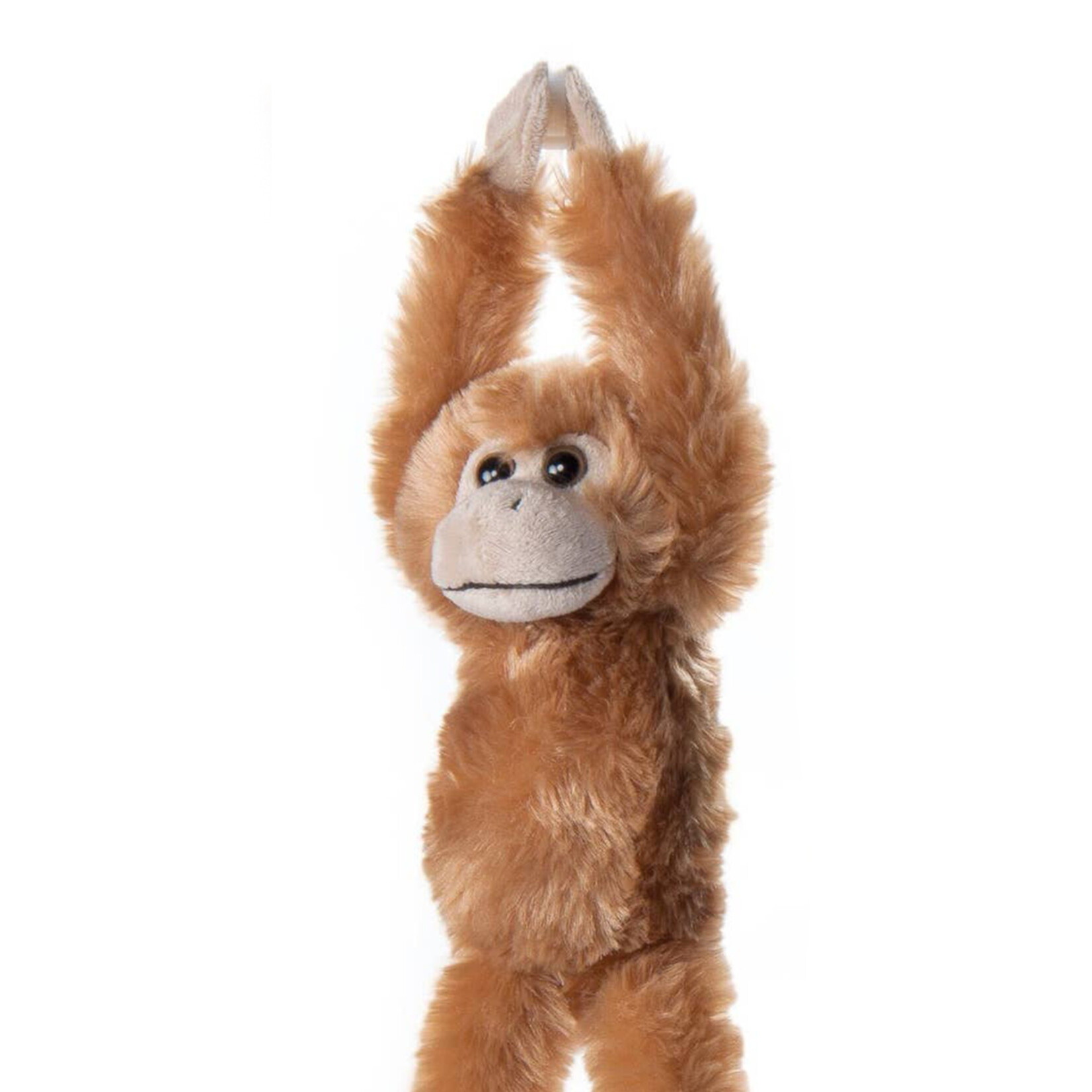 the petting zoo hanging monkey