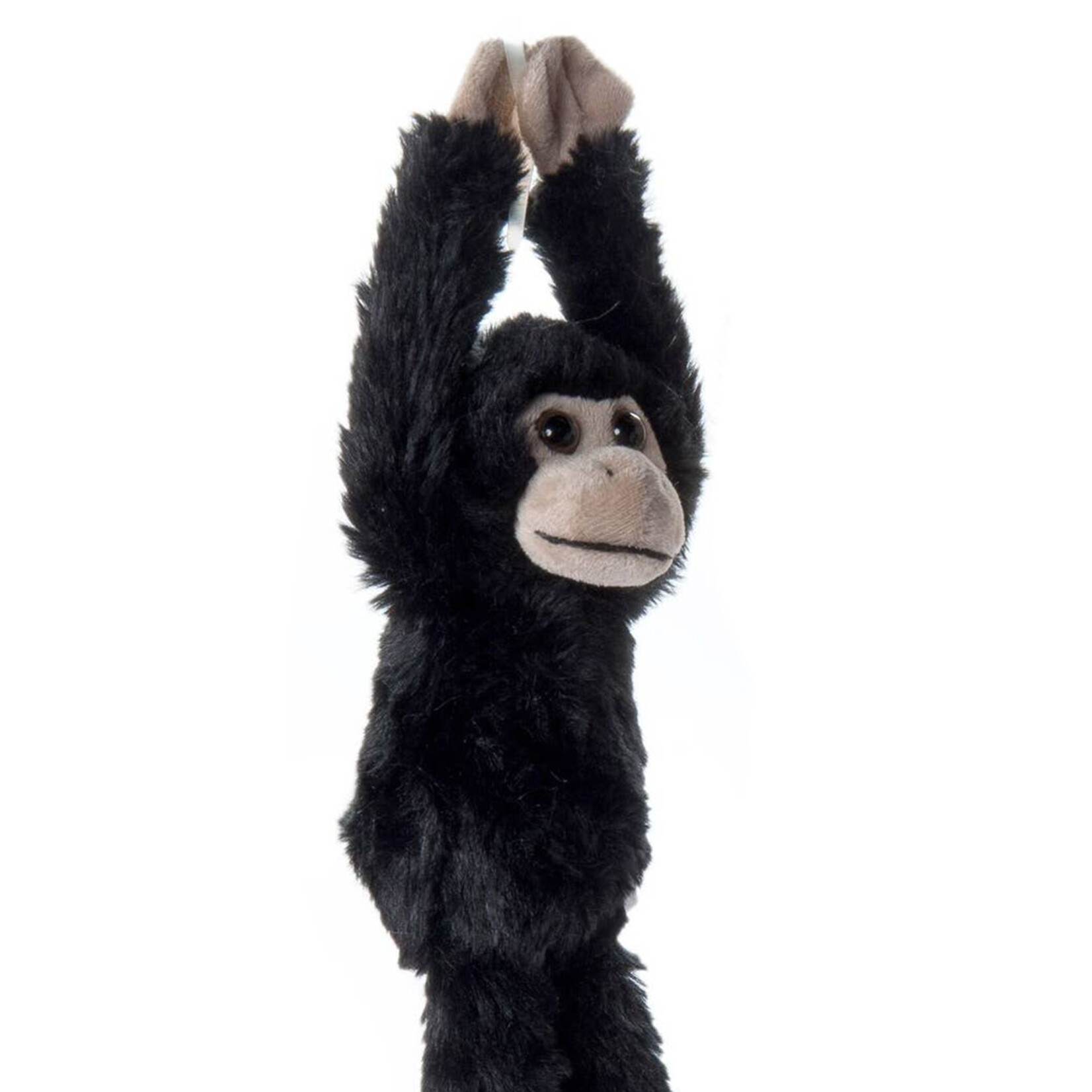 the petting zoo hanging monkey