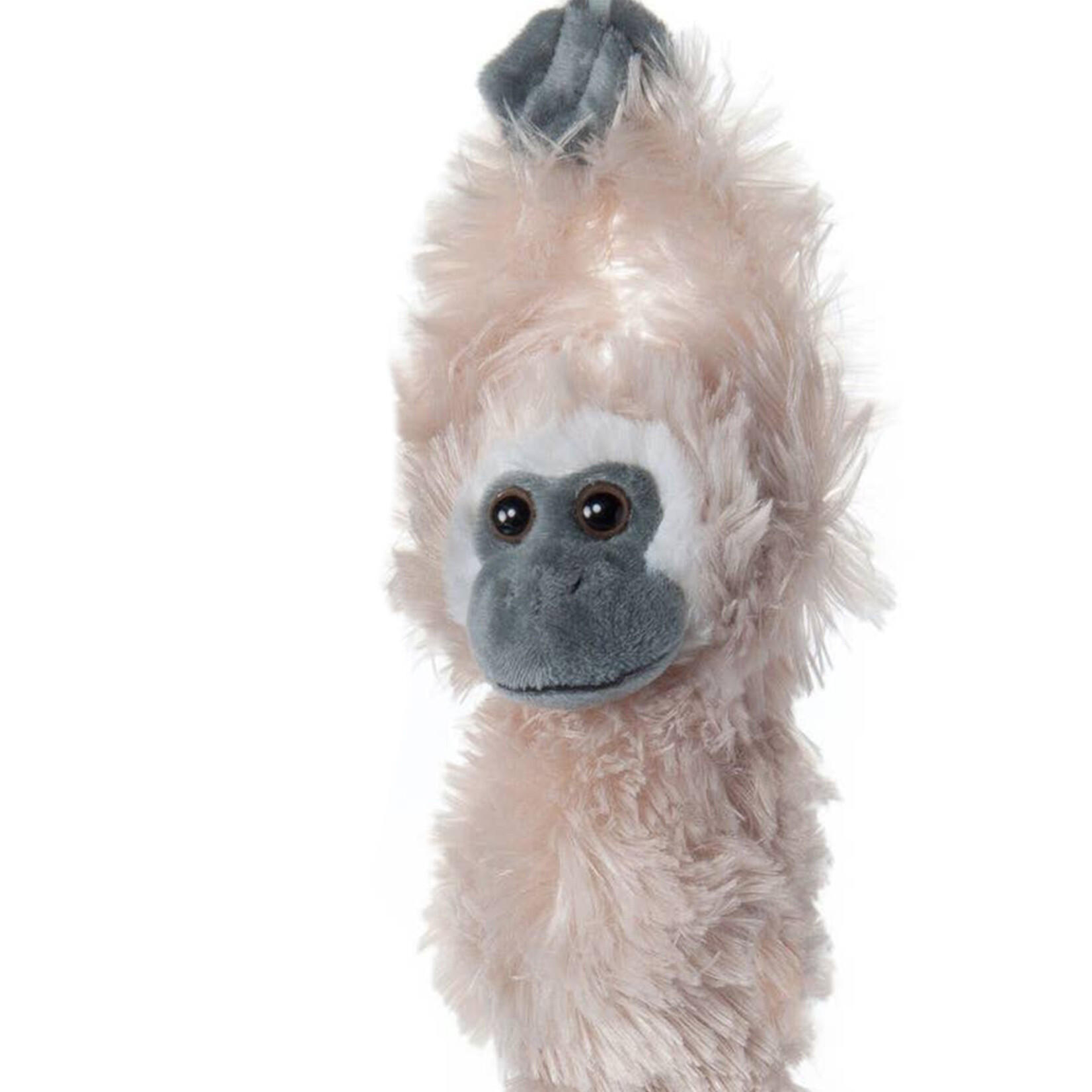 the petting zoo hanging monkey