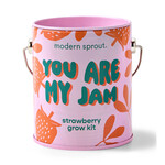 modern sprout strawberry grow kit