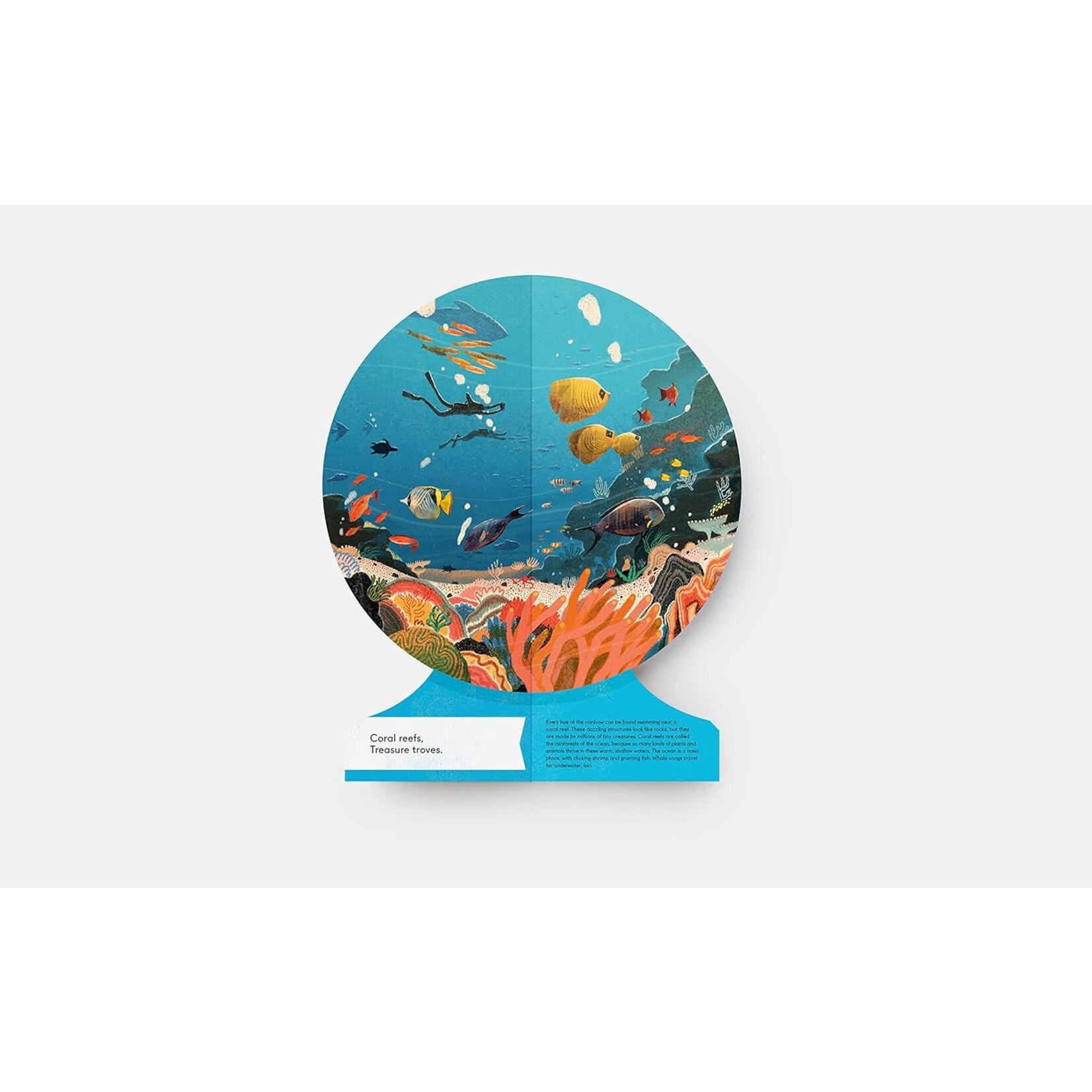 phaidon our underwater world
