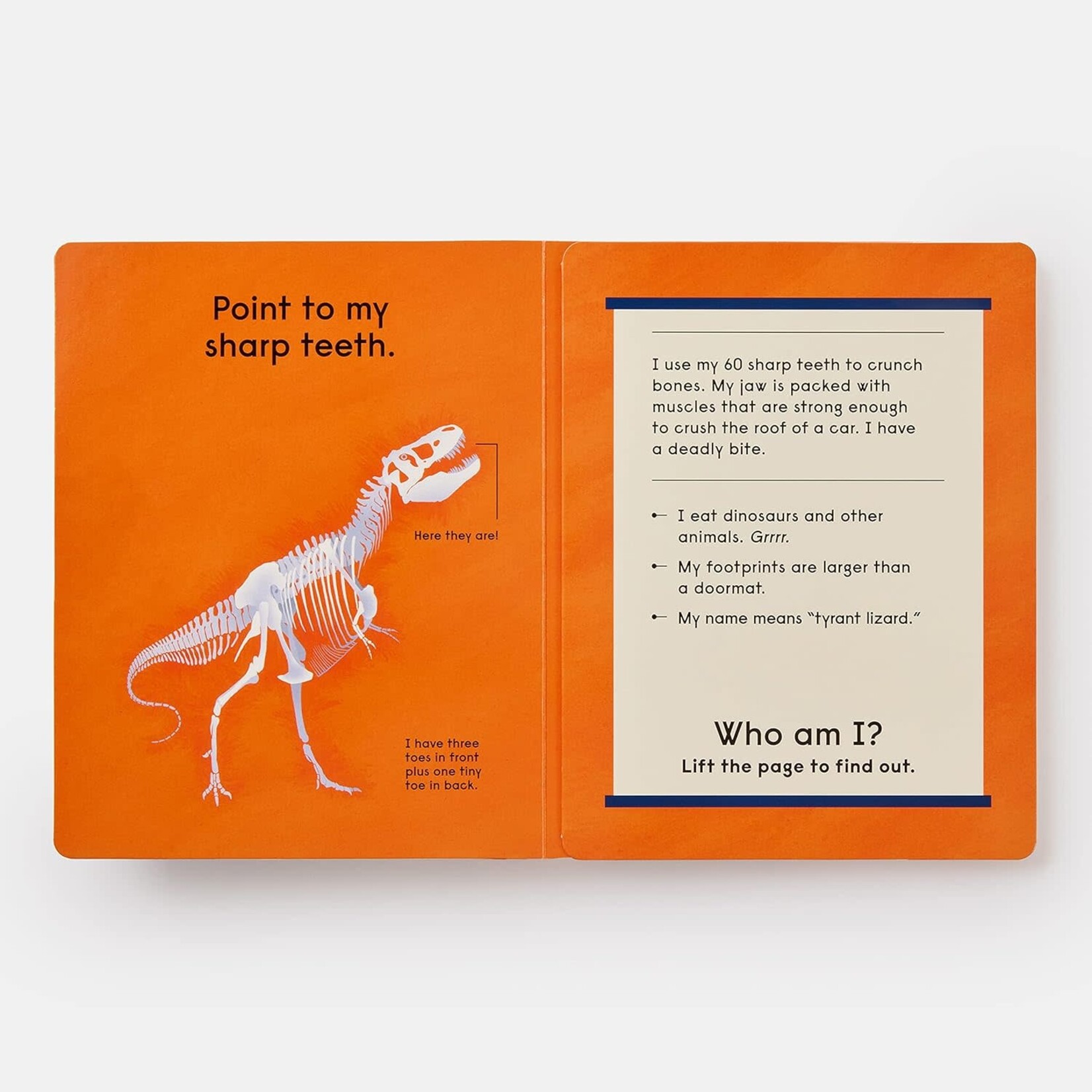phaidon who's that dinosaur?