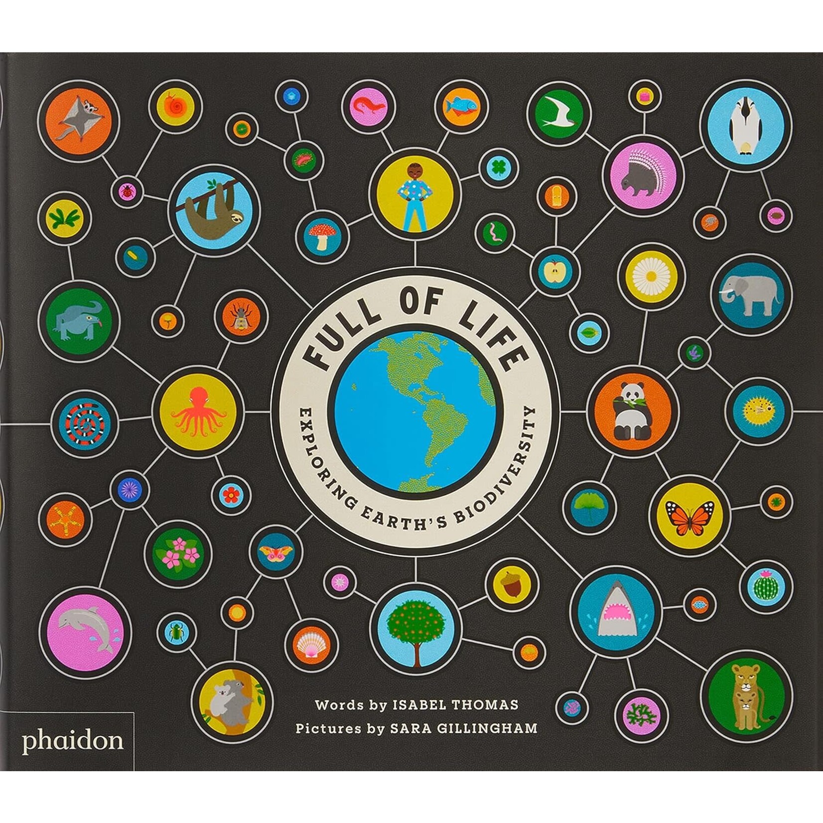 phaidon full of life