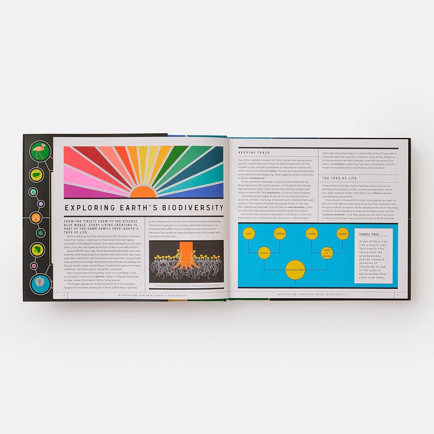 phaidon full of life