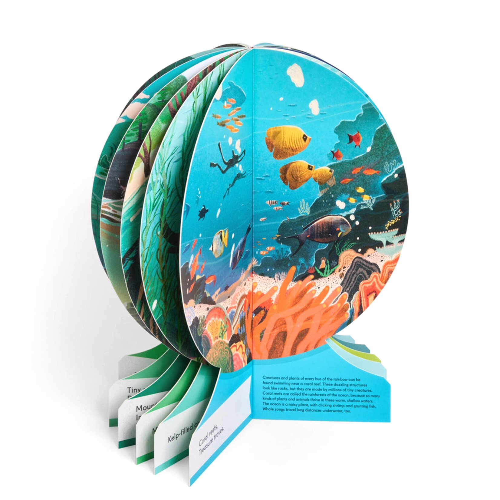 phaidon our underwater world