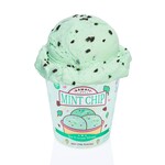 kawaii slime company mint chip ice cream slim