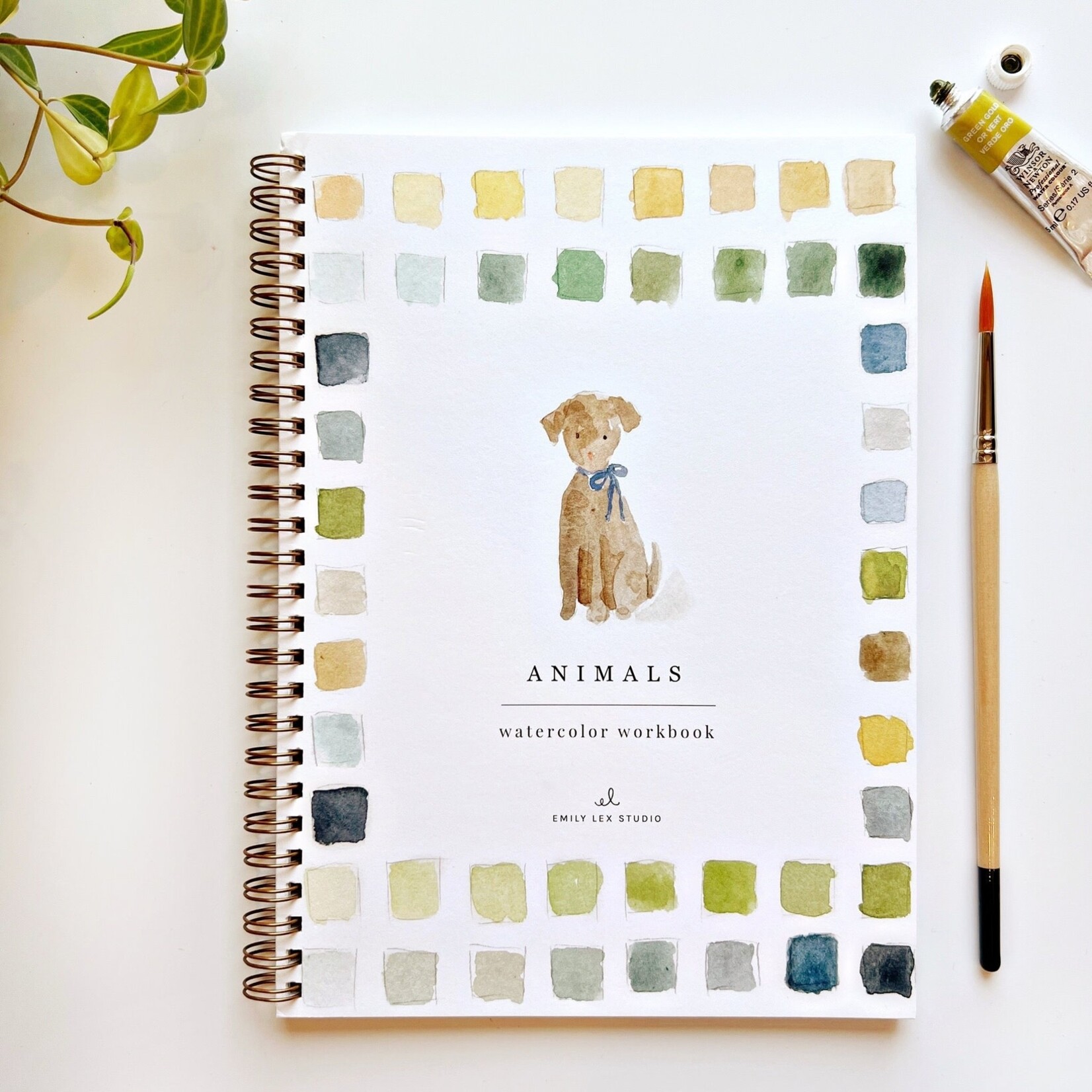 emily lex studios ANIMALS watercolor workbook
