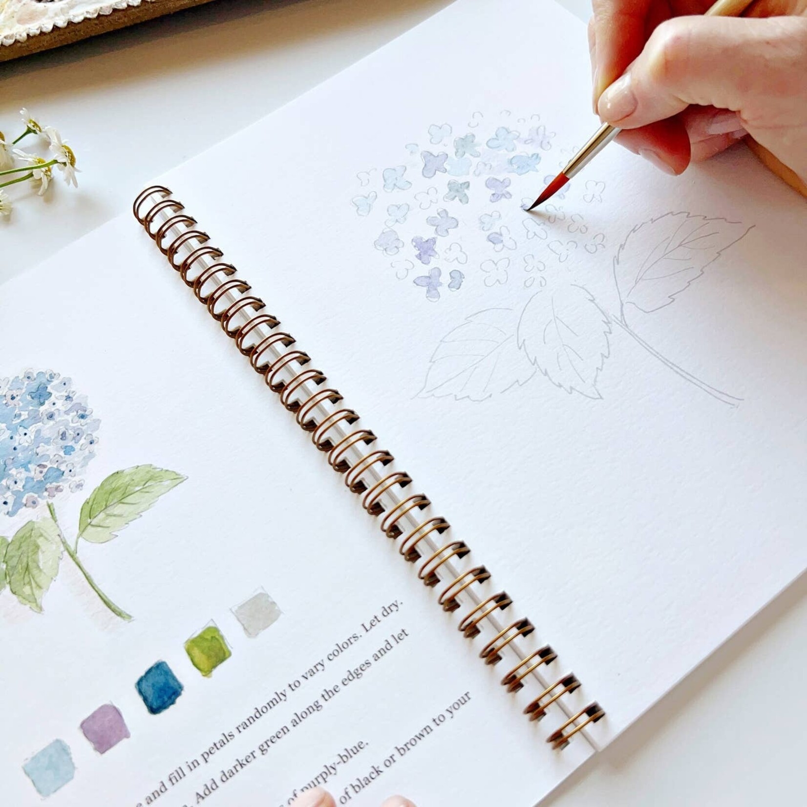 emily lex studios FARM watercolor workbook
