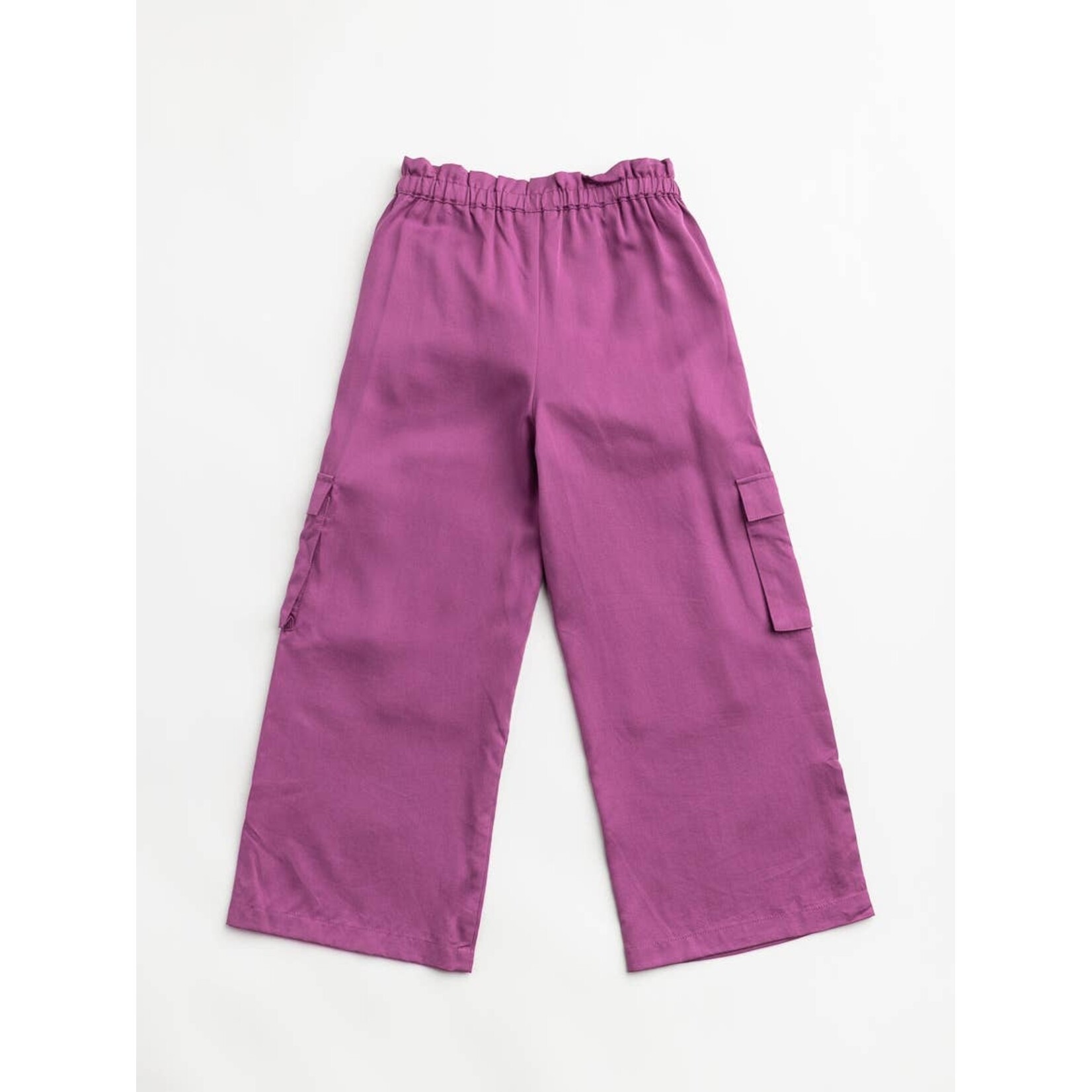 finding foxtale homegrown violet cargos