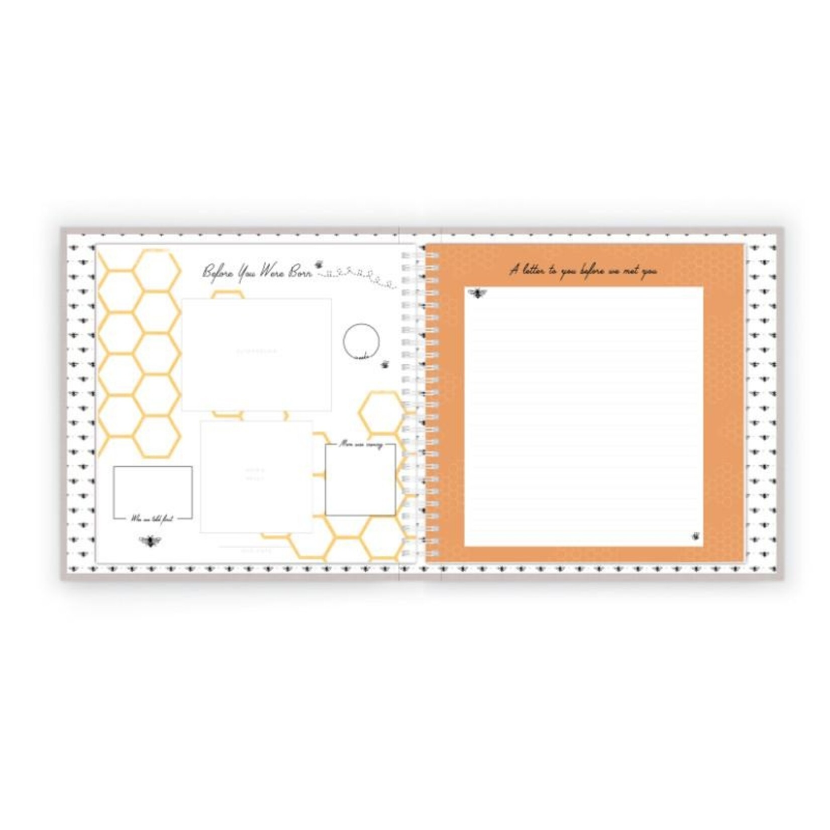 lucy darling honey bee lux baby memory book