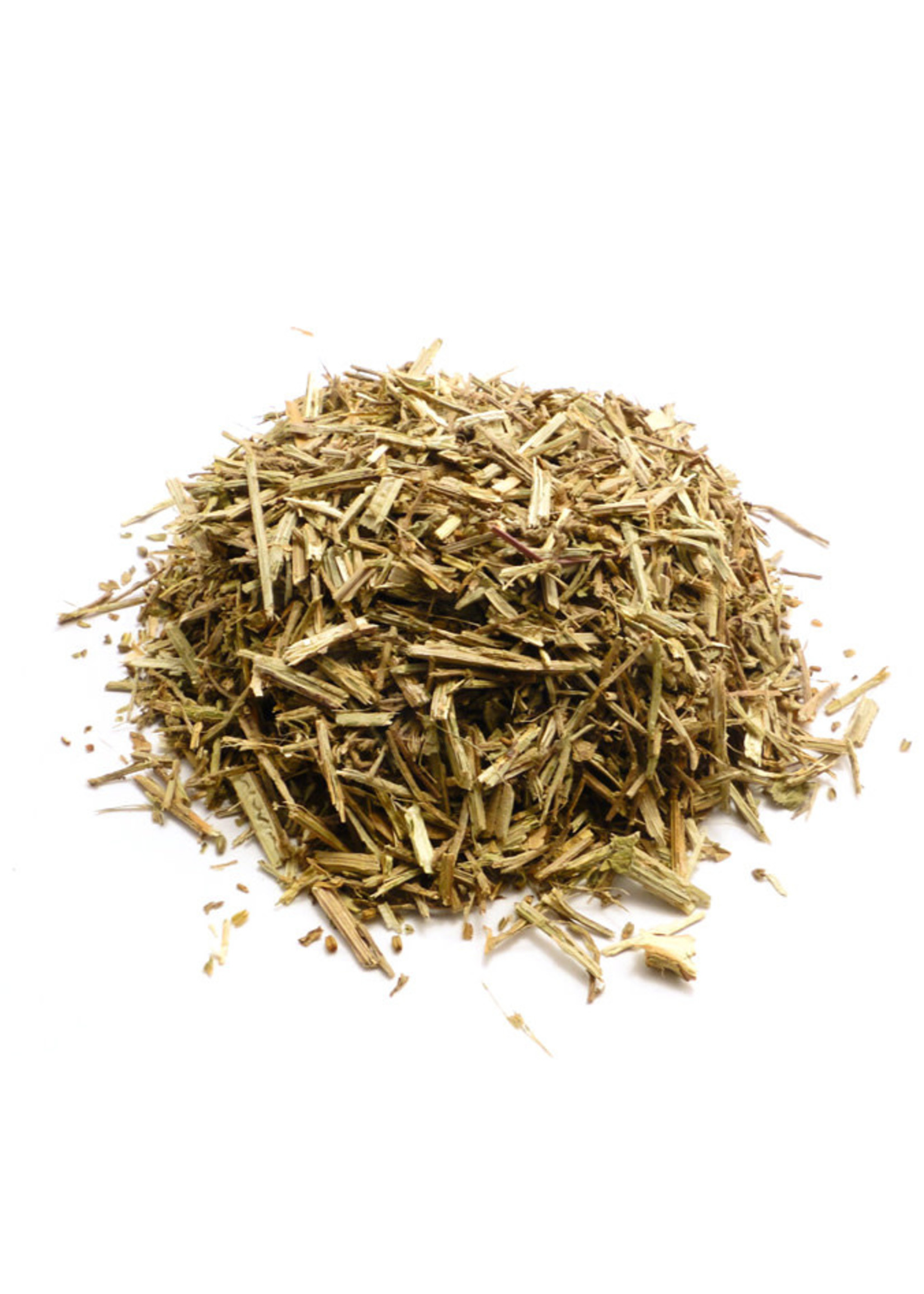 Blue Vervain