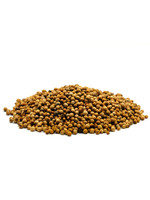 Coriander Whole