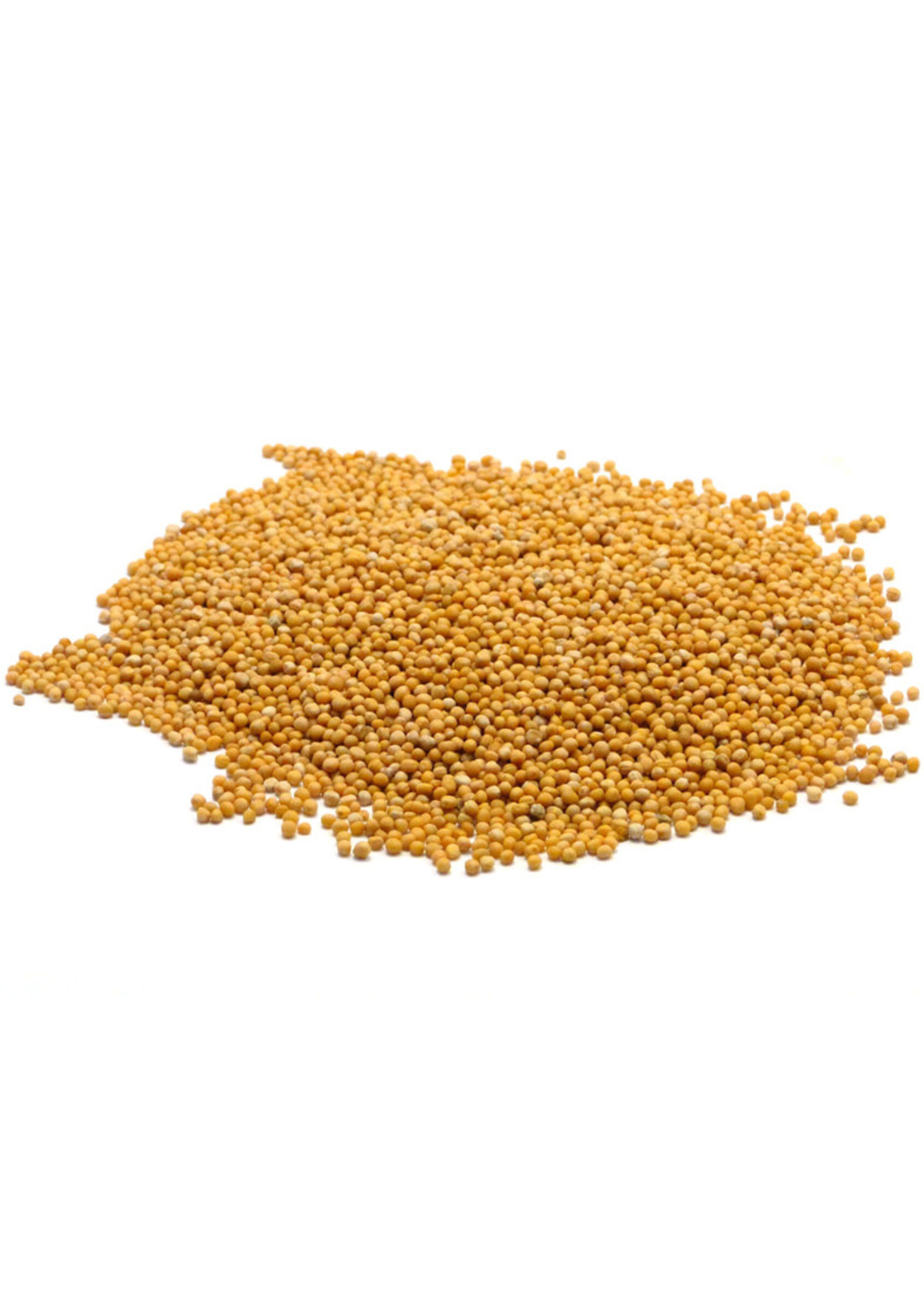 Mustard Seed Yellow