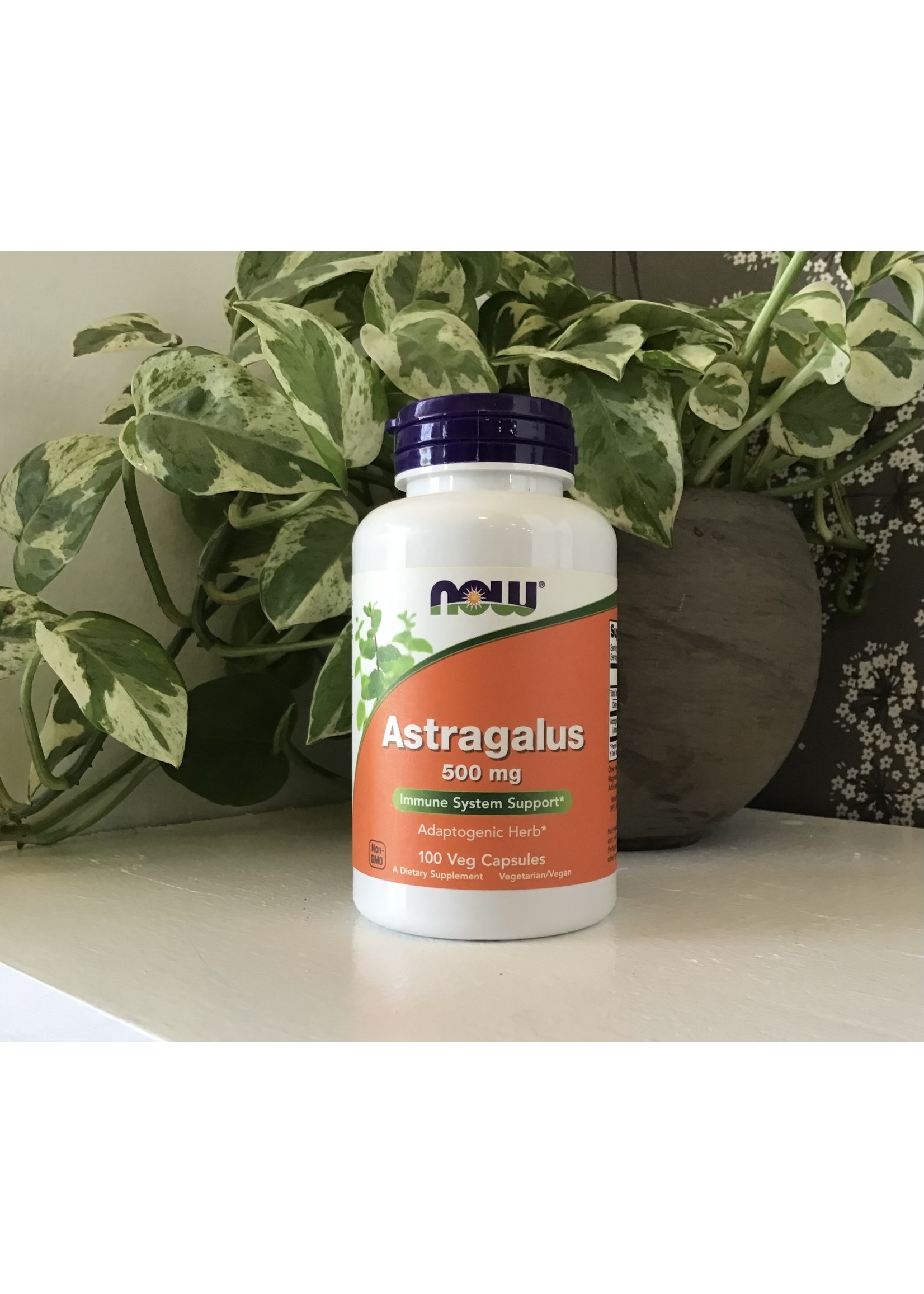 Astragalus 500mg