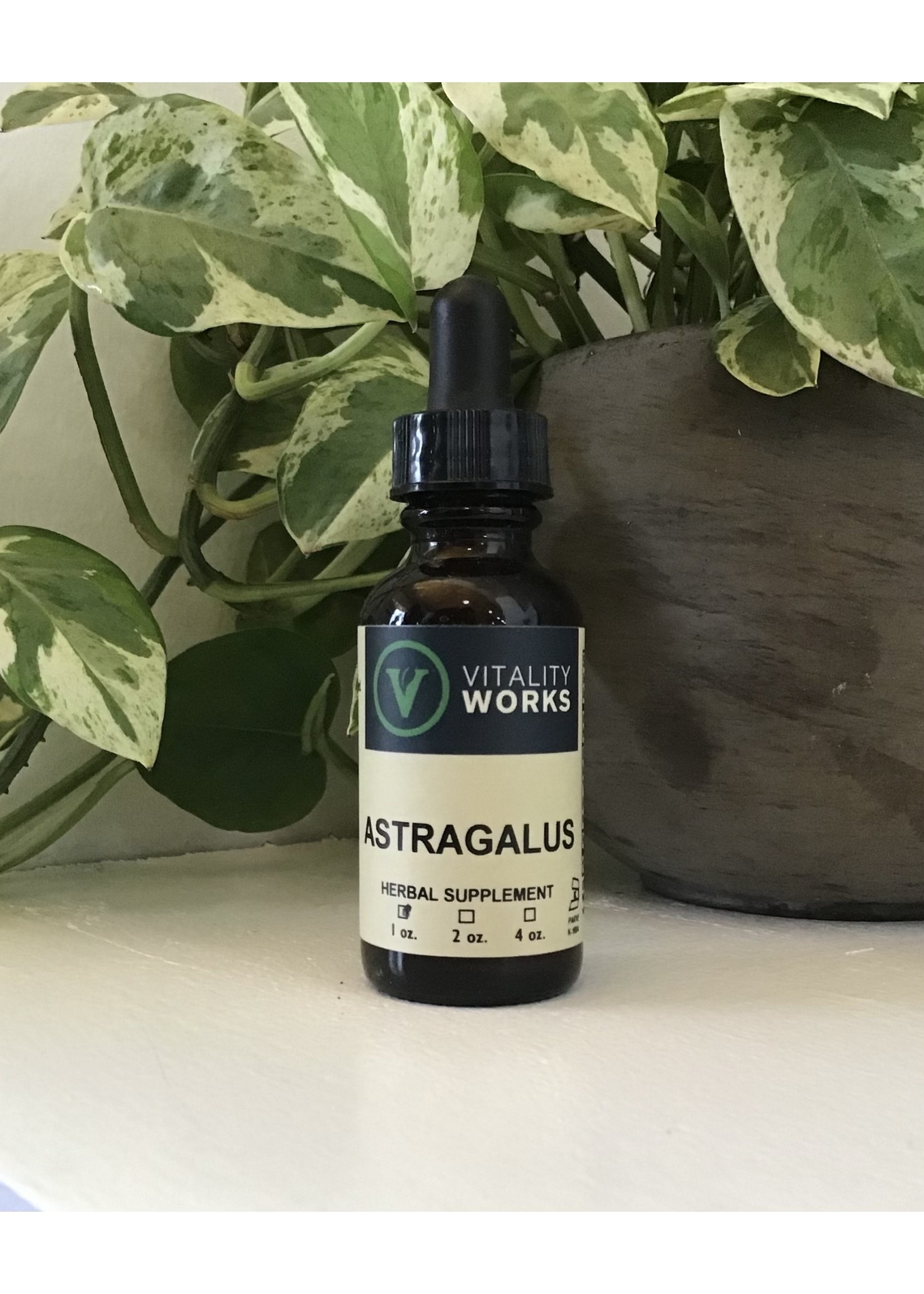 Astragalus Extract 1oz