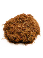 Cornsilk