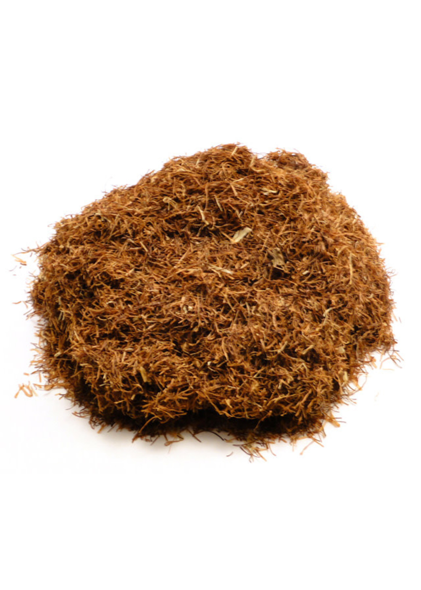 Cornsilk