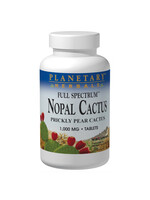 Nopal Cactus/prickly pear