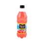 Bouteille Minute Maid 591ml USA