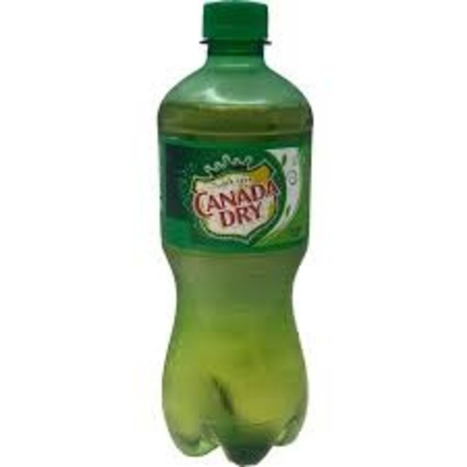 Canada Dry 591ml USA