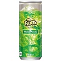 Fanta Melon Cans 100 ml