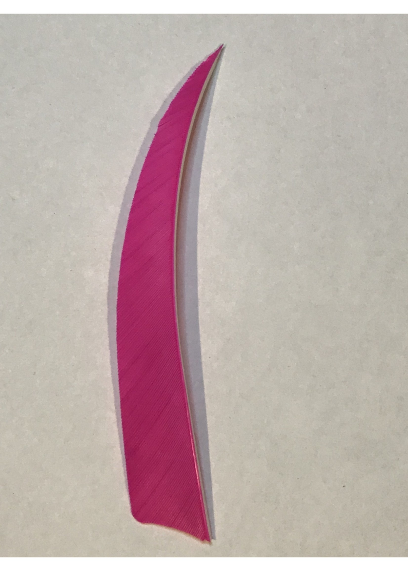 Ozark Shield Cut 5" Solid Color Feathers - Right Wing - Dozen