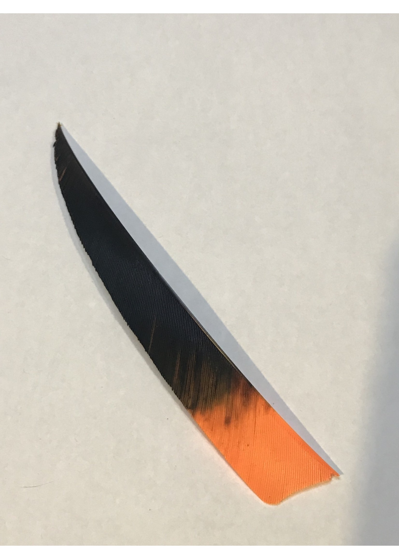 Ozark Shield Cut 5" Barred/Camo Feathers - Right Wing - Dozen