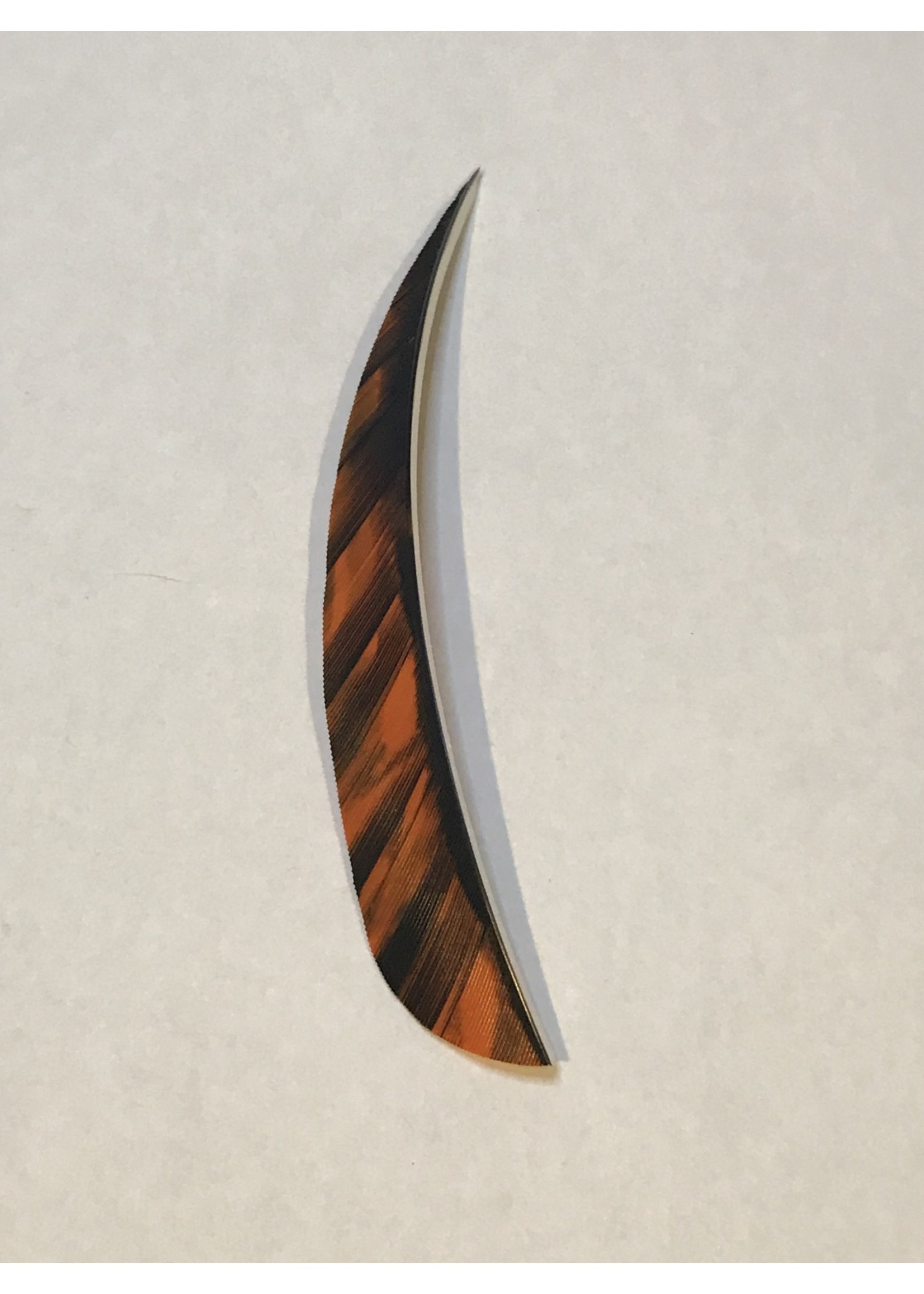 Ozark Parabolic 5" Barred/Camo Feathers - Right Wing - Dozen