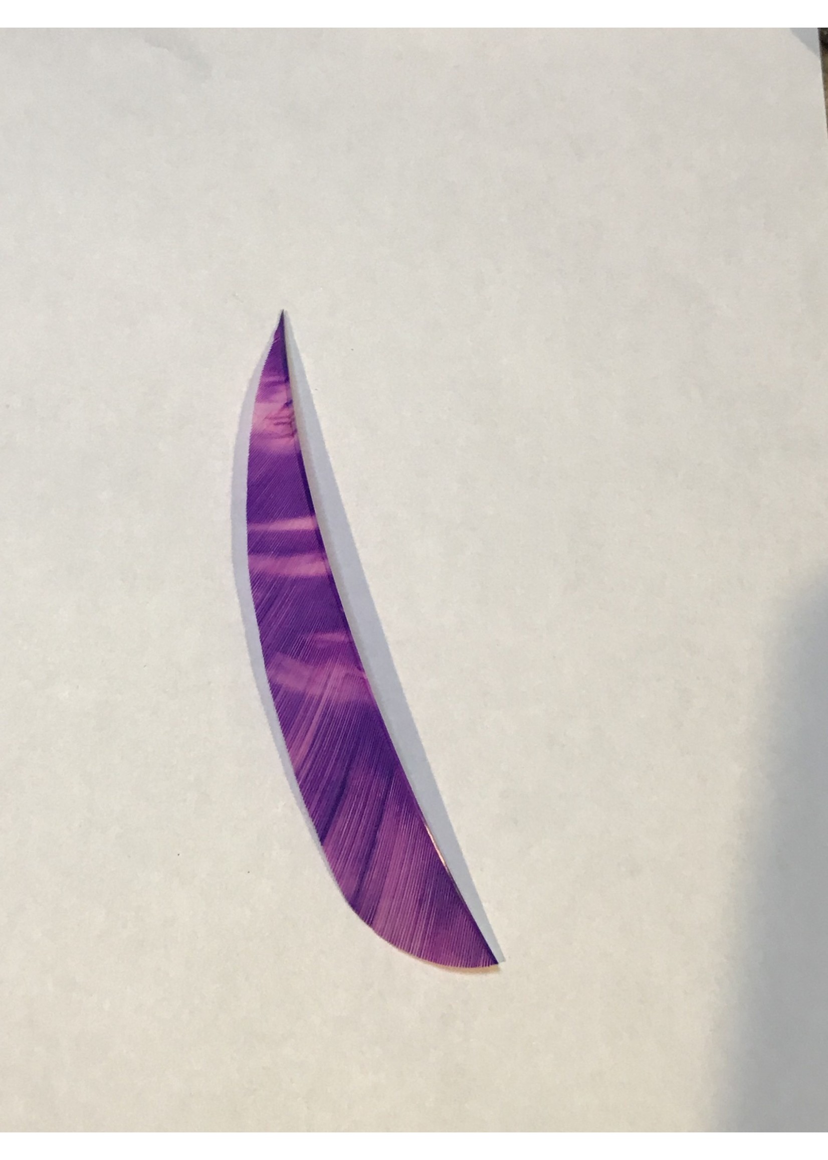 Ozark Parabolic 5" Barred/Camo Feathers - Right Wing - Dozen
