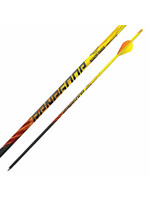 Black Eagle Renegade Fletched Arrows - .005" 6 Pack - 400