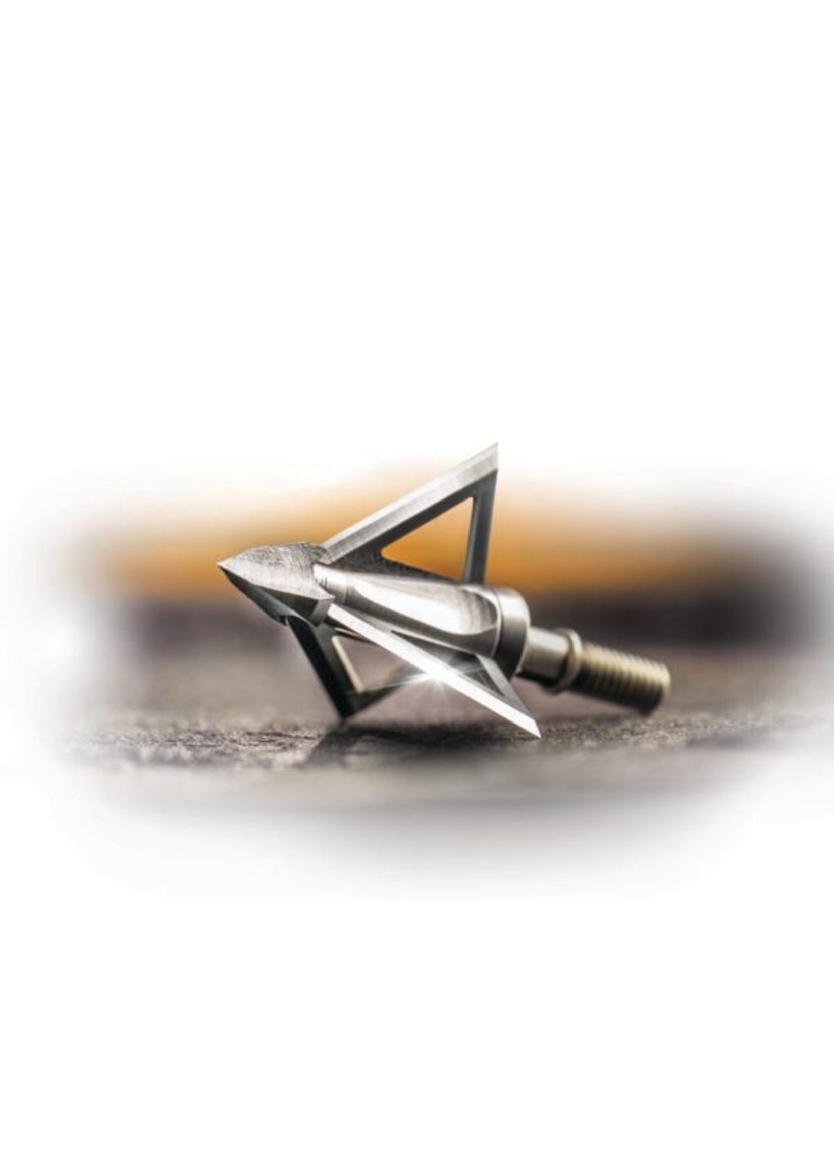 Wasp Mortem Fixed Blade Broadhead 1 1/8" .032" Stainless  Steel Blades,  100 grain - 3 pack