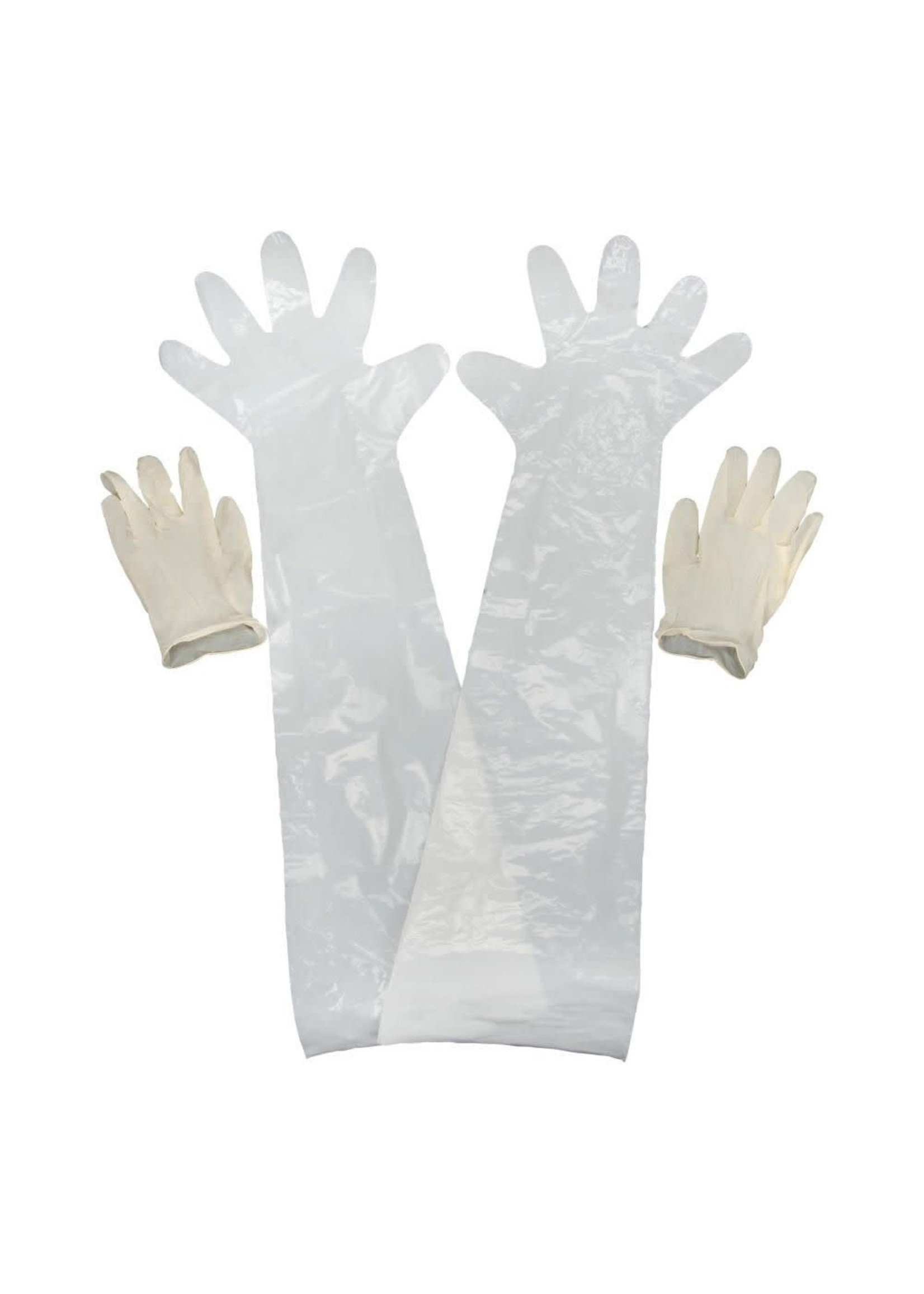 Allen field dressing gloves, 1 pair wrist length, 1 pair shoulder length