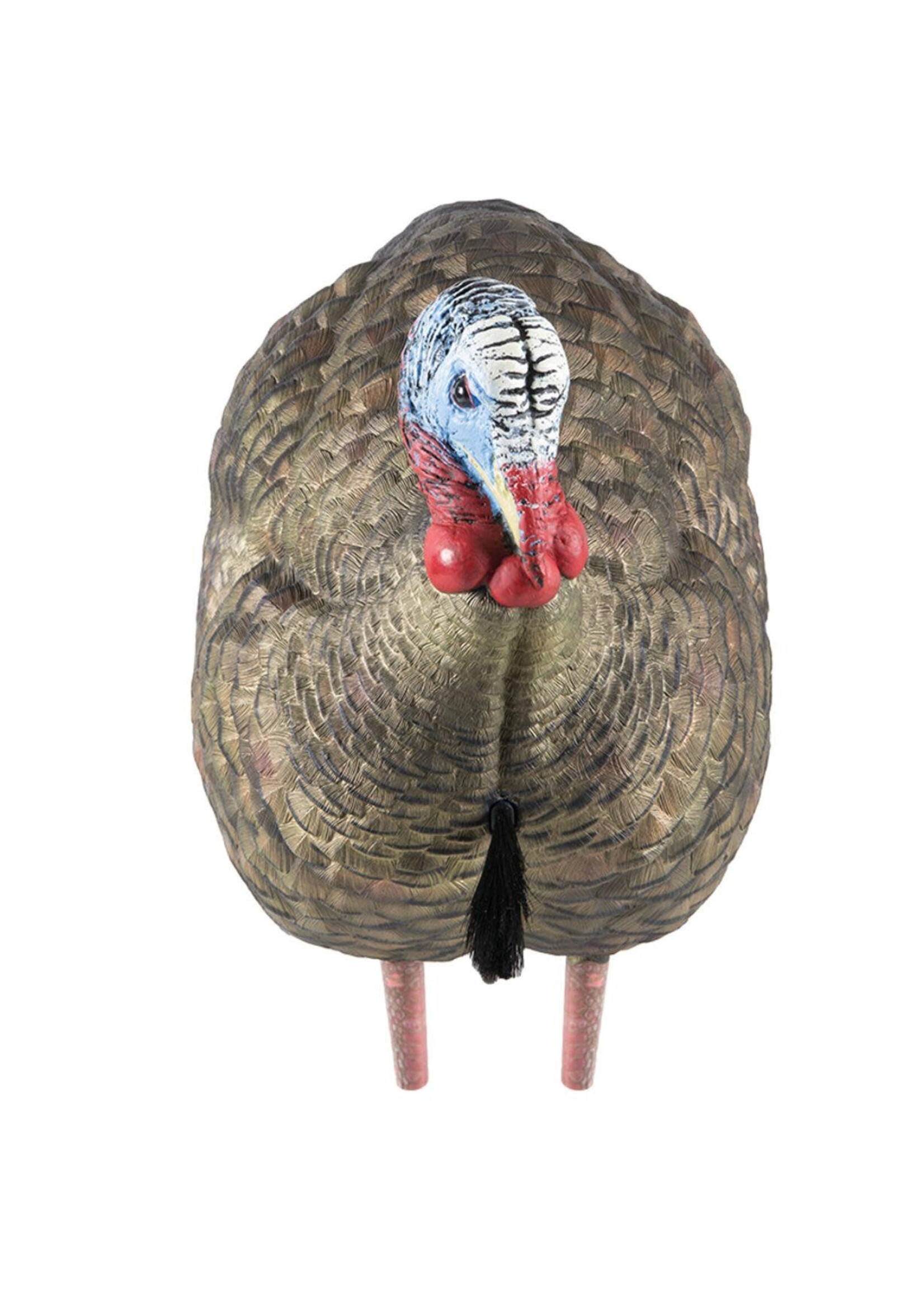 Avian X lcd half strut jake lifelike collapsible decoy